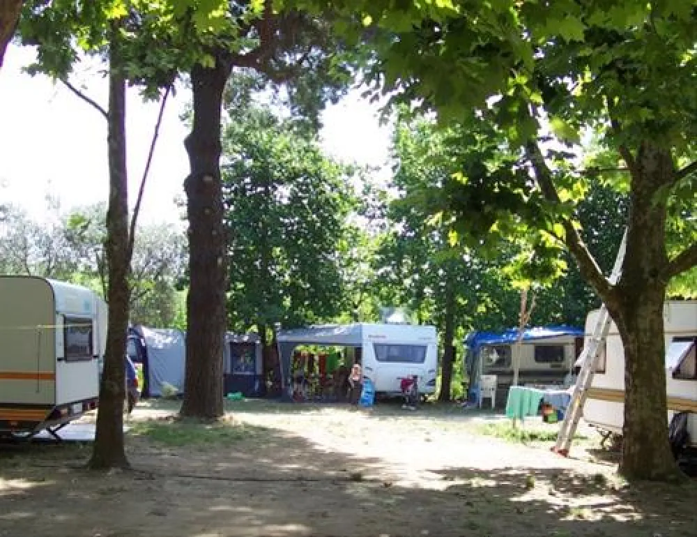 Camping Pineta