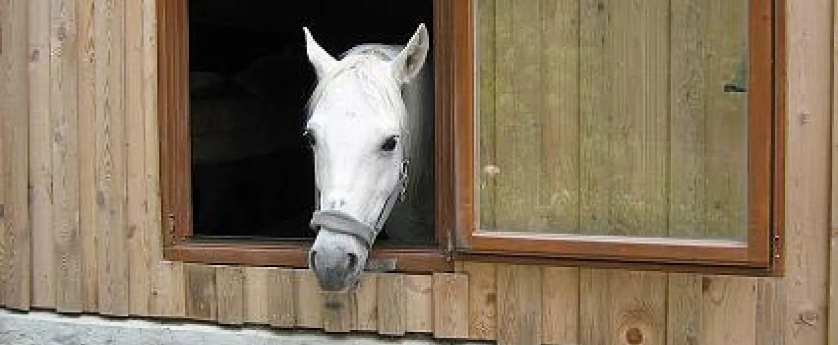 Camping Schweinmühle