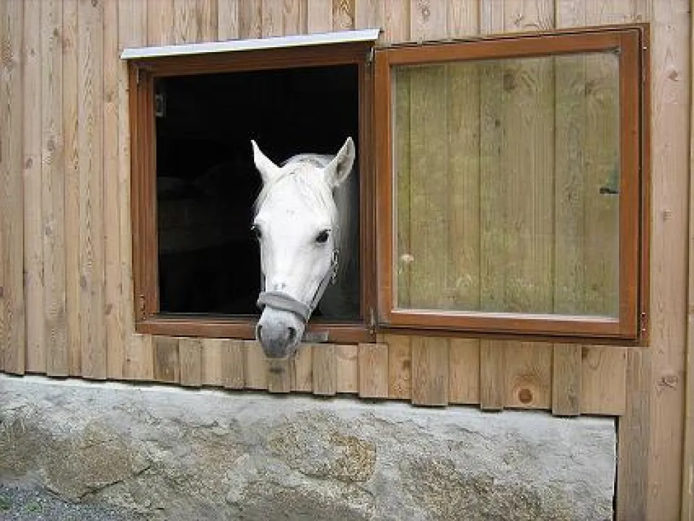 Camping Schweinmühle