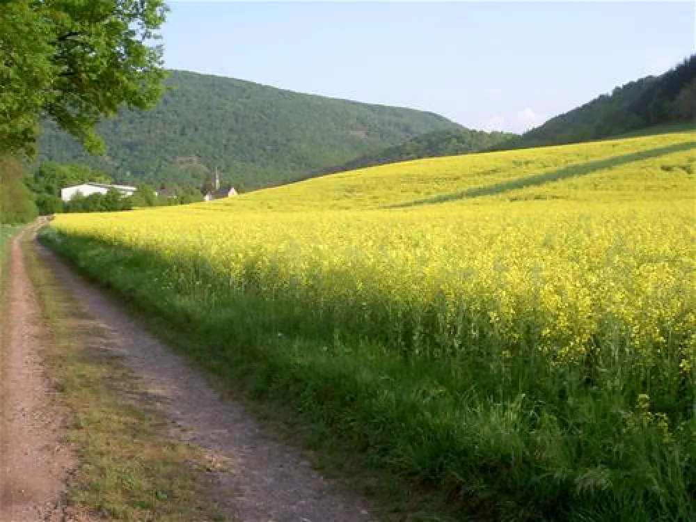 Campingplatz Nahetal