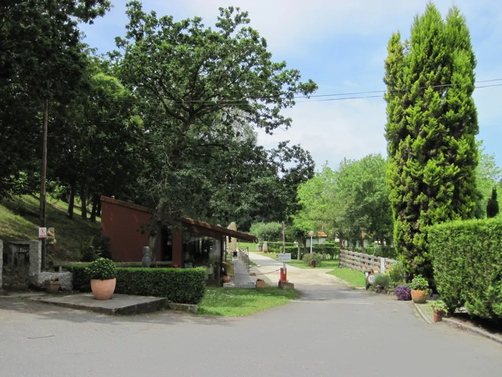 Camping los Manzanos