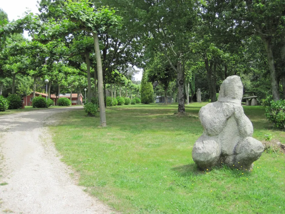 Camping los Manzanos