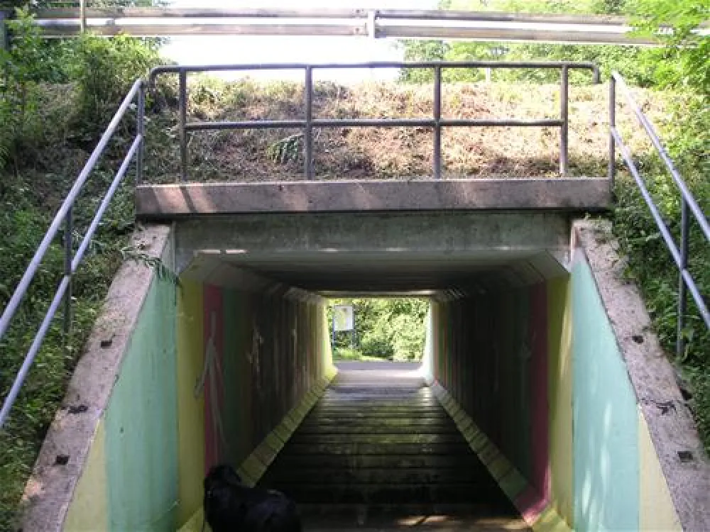 KNAUS Campingpark Hennesee