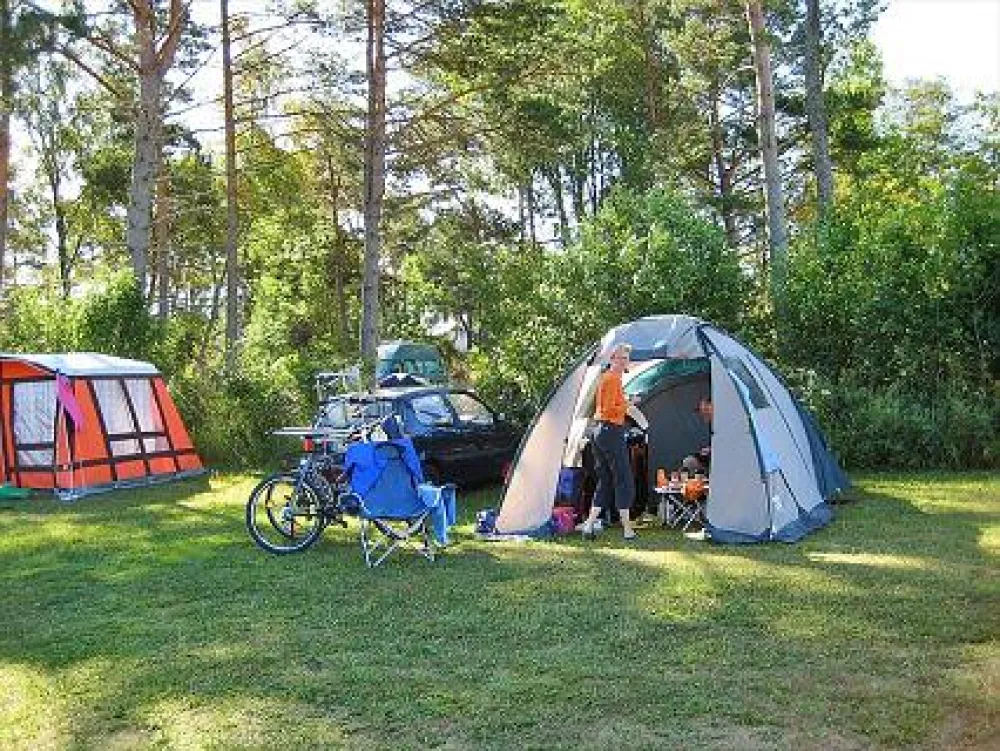 Kattnäs Camping