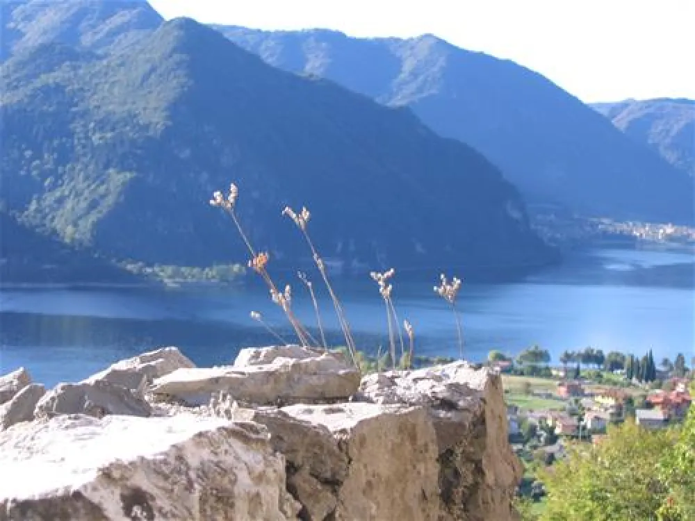 Camping Vantone Pineta