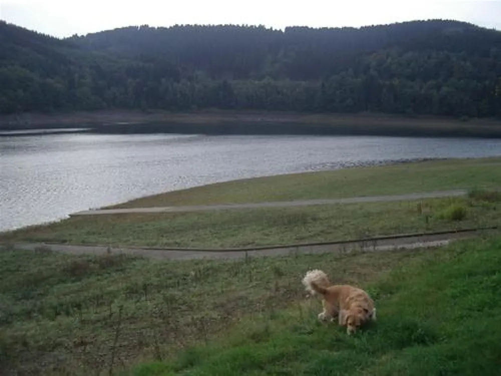 Feriencamp Biggesee-Vier Jahreszeiten