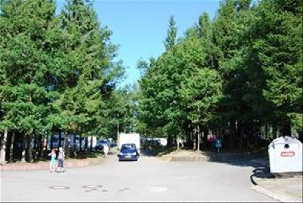 Feriencamp Biggesee-Vier Jahreszeiten