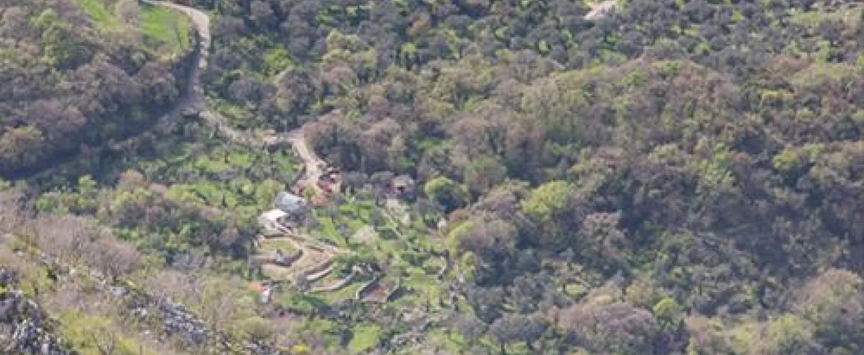 Bartula - My Olive Garden camp