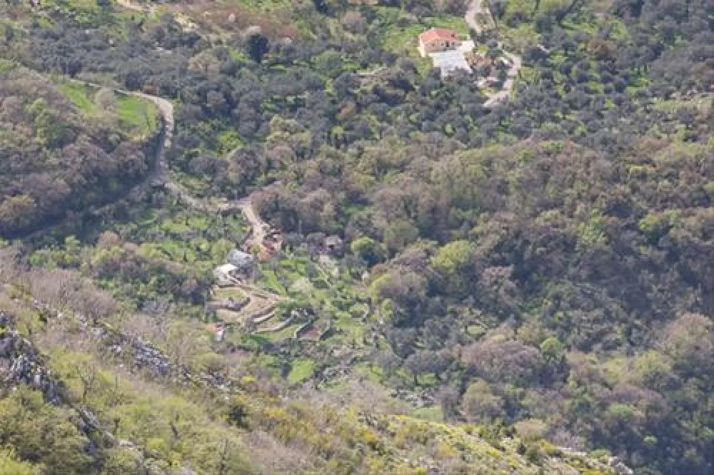 Bartula - My Olive Garden camp