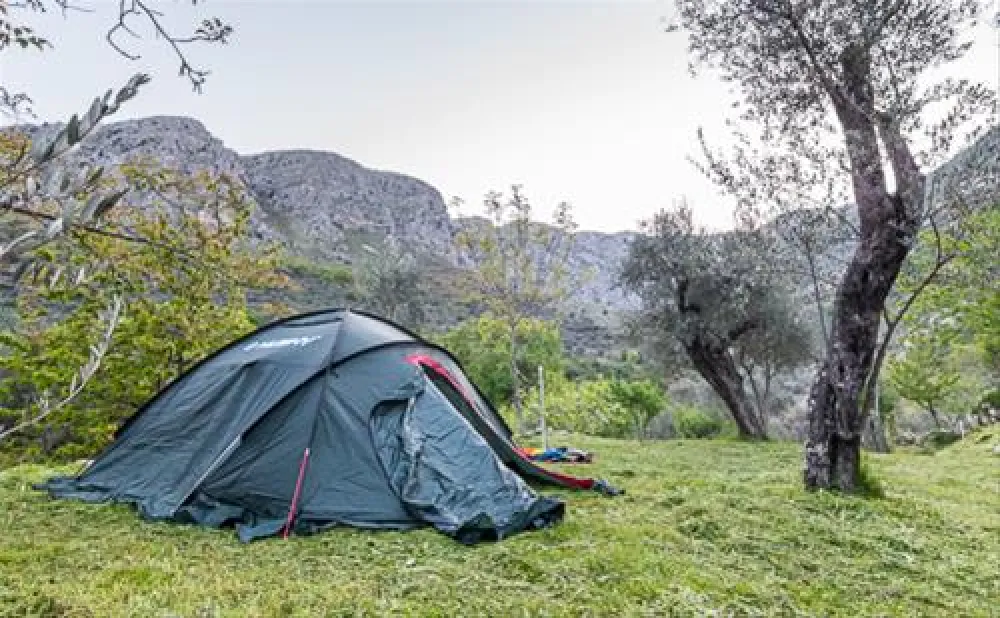 Bartula - My Olive Garden camp