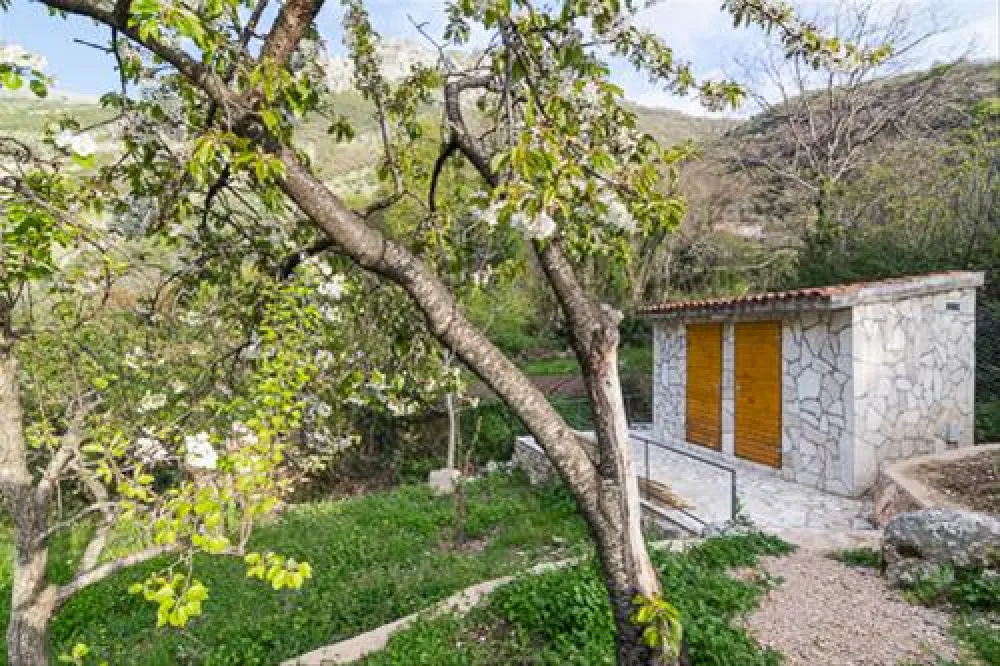 Bartula - My Olive Garden camp