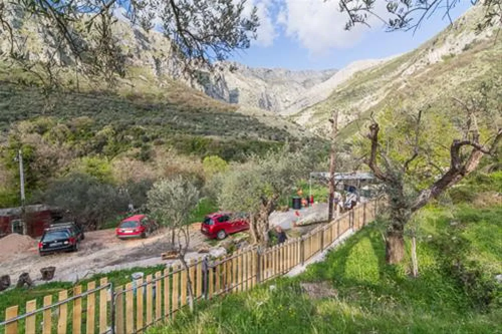 Bartula - My Olive Garden camp