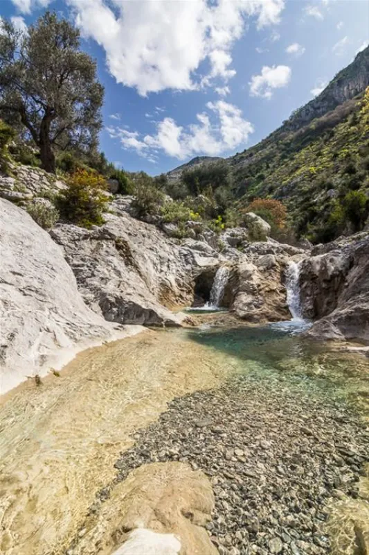 Bartula - My Olive Garden camp