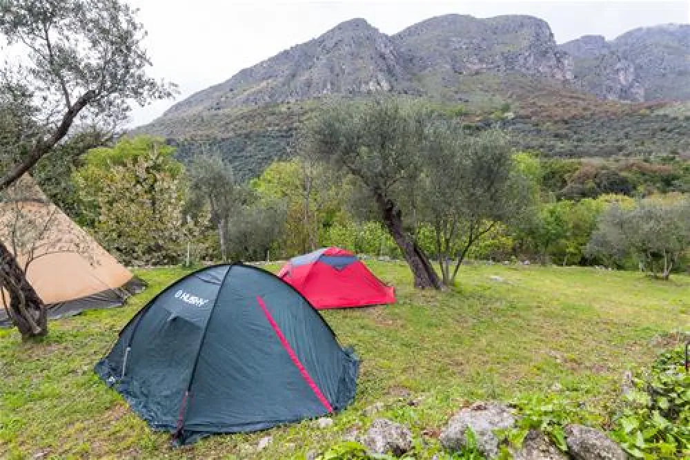 Bartula - My Olive Garden camp