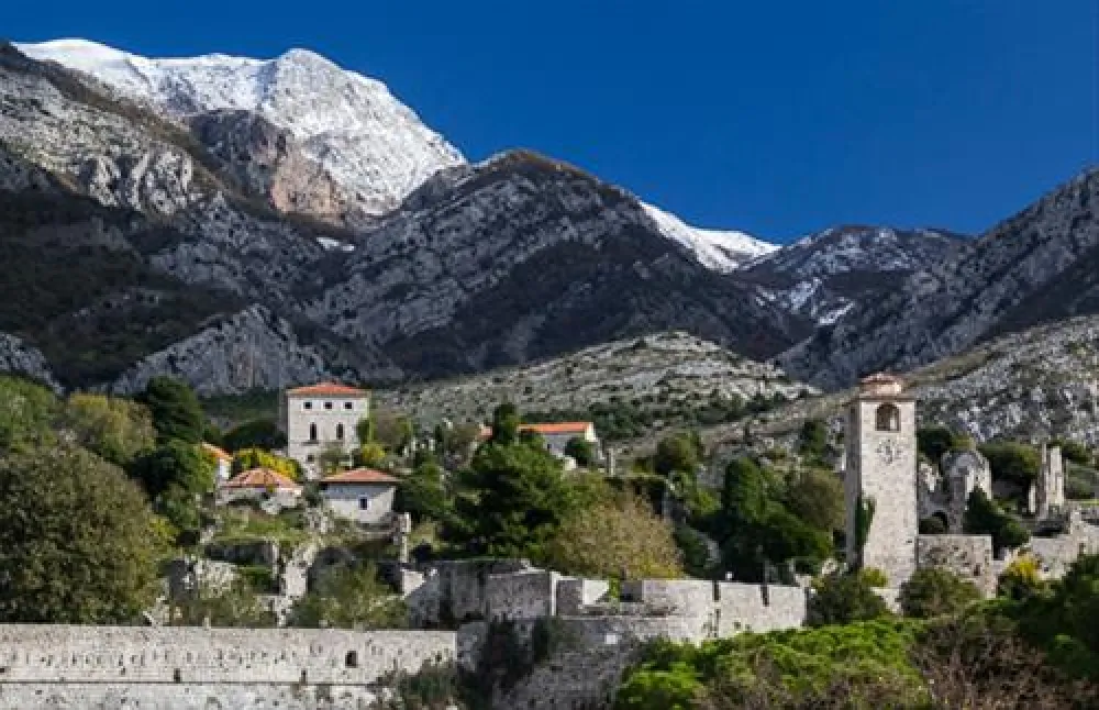 Bartula - My Olive Garden camp