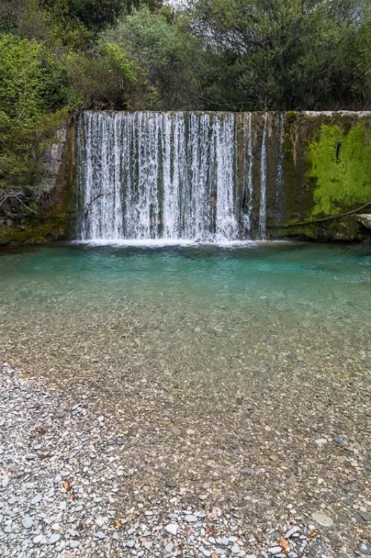 Bartula - My Olive Garden camp