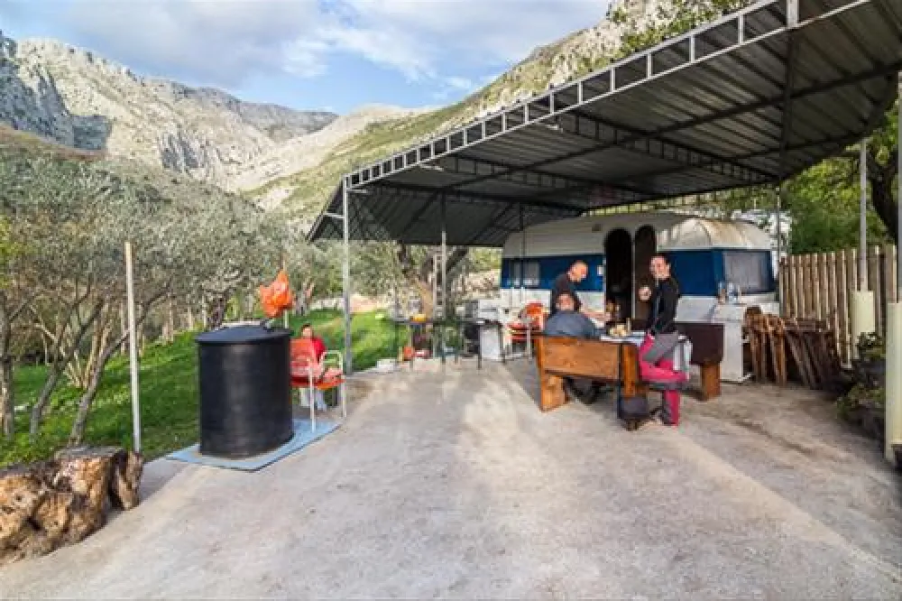 Bartula - My Olive Garden camp