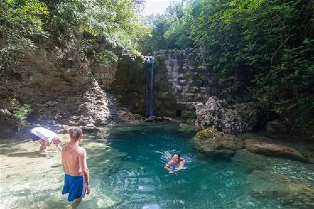 Bartula - My Olive Garden camp