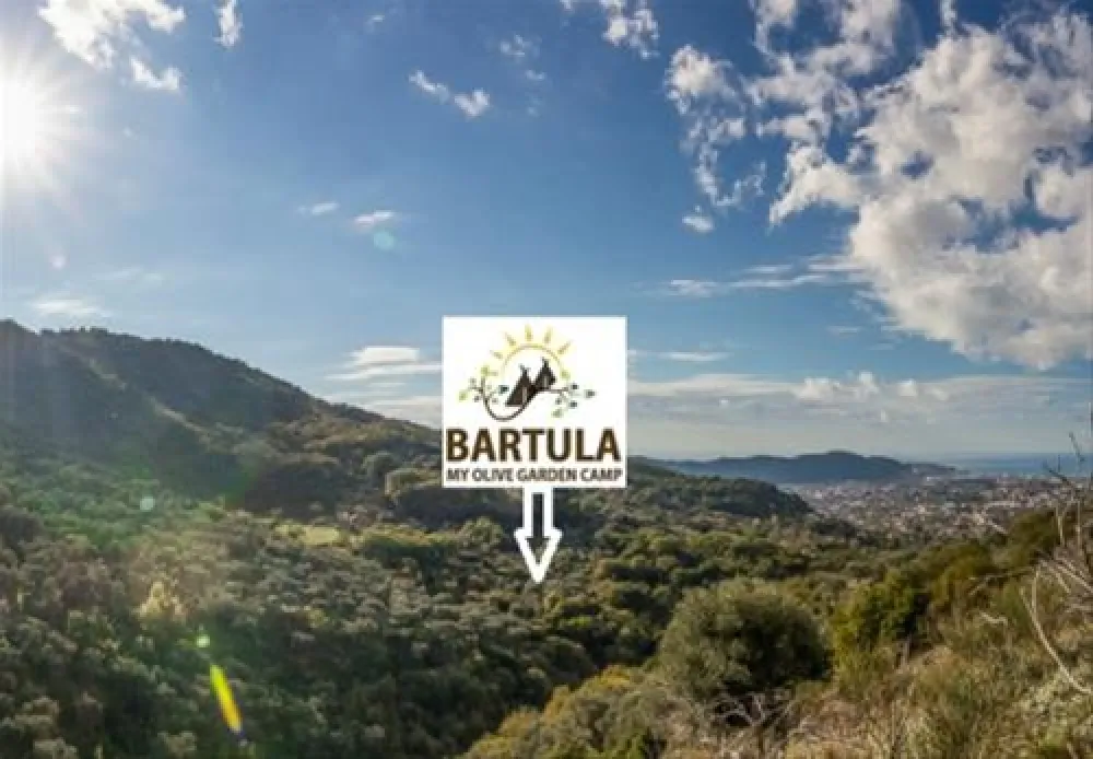 Bartula - My Olive Garden camp