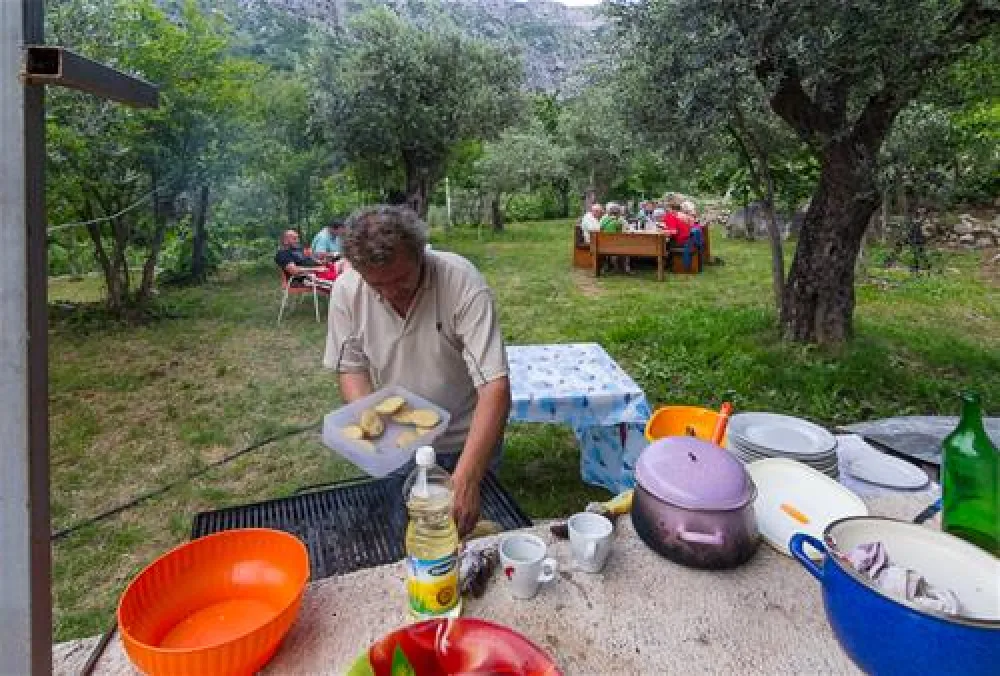 Bartula - My Olive Garden camp