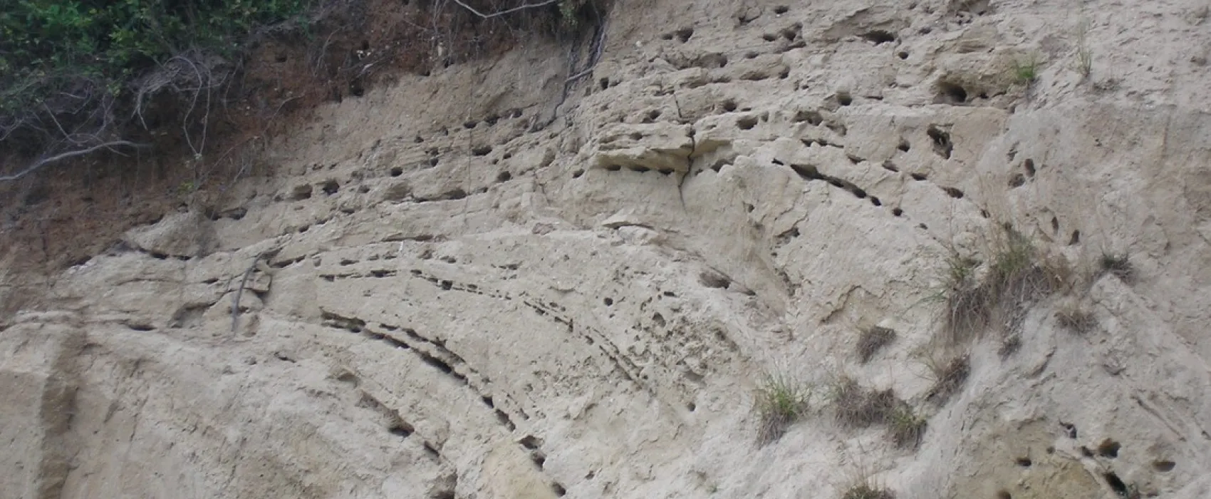 Camping & Ostseeferienpark Walkyrien