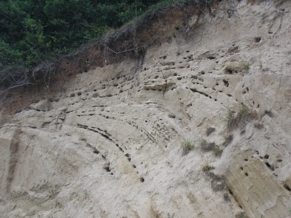 Camping & Ostseeferienpark Walkyrien