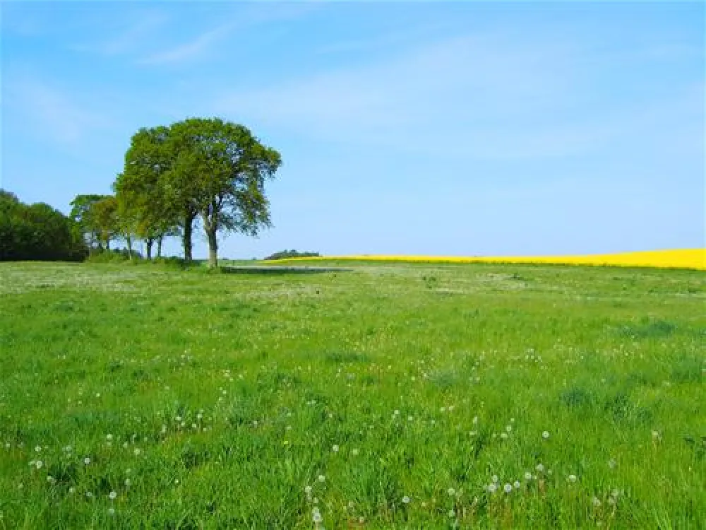 Camping & Ostseeferienpark Walkyrien