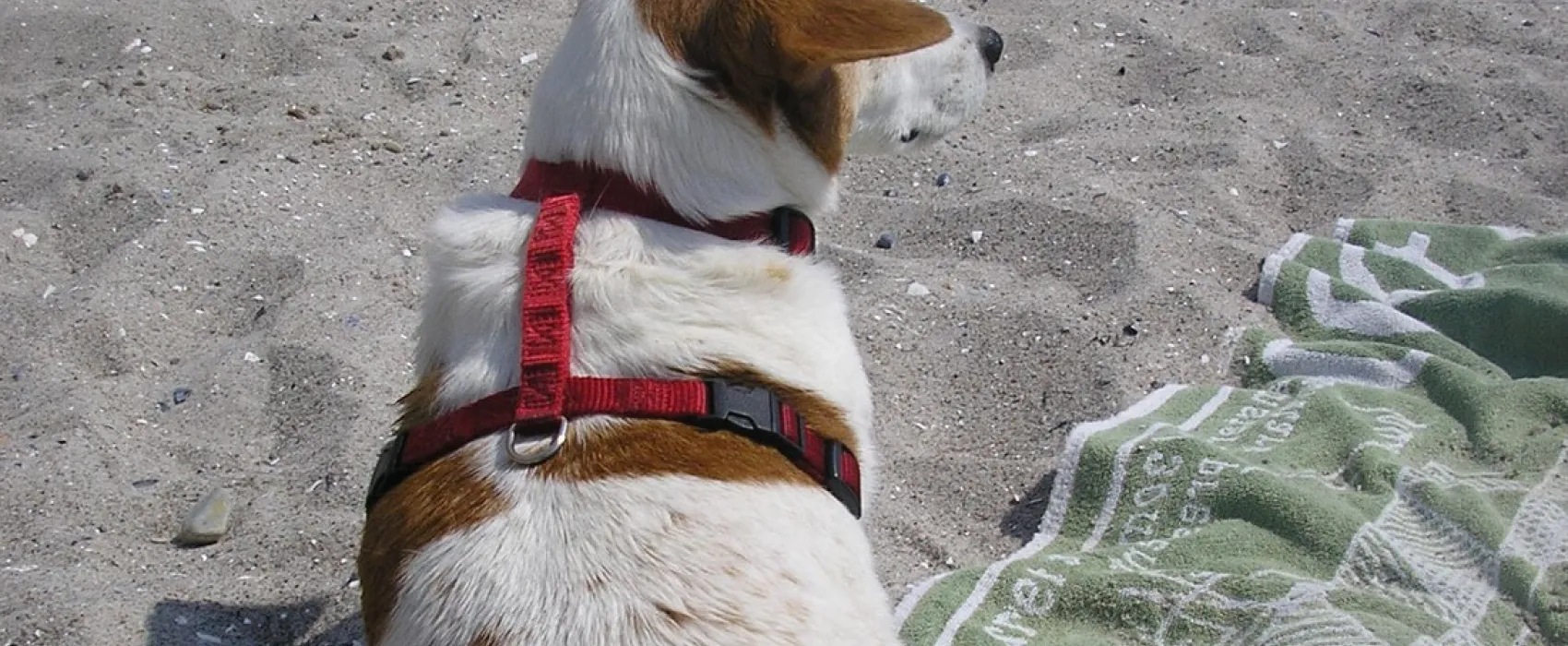 Camping & Ostseeferienpark Walkyrien