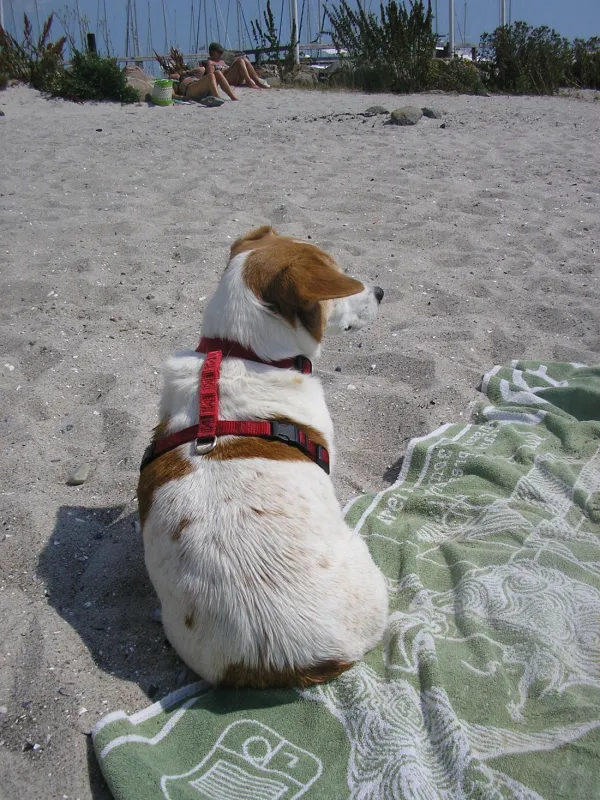 Camping & Ostseeferienpark Walkyrien