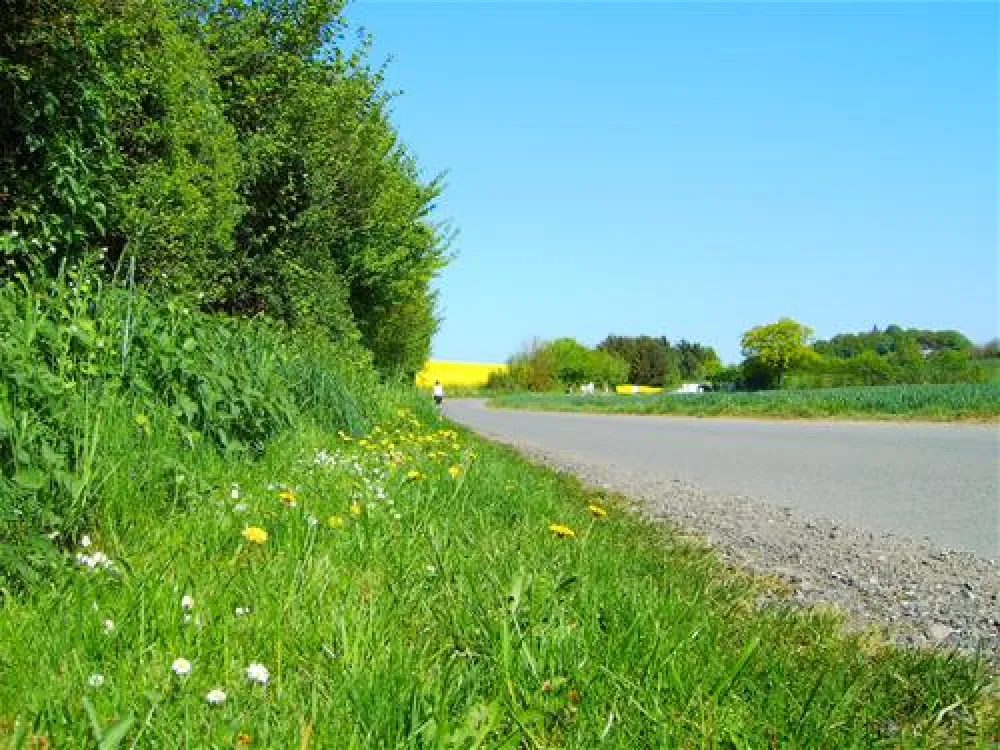 Camping & Ostseeferienpark Walkyrien