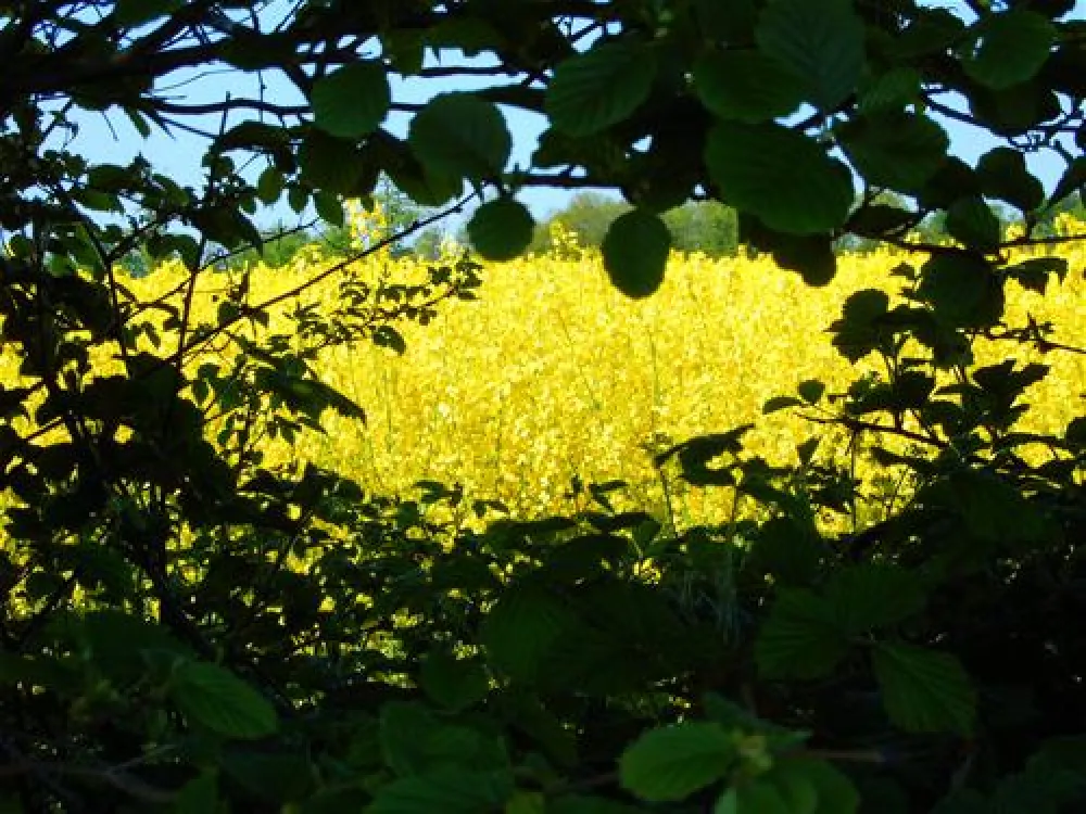 Camping & Ostseeferienpark Walkyrien