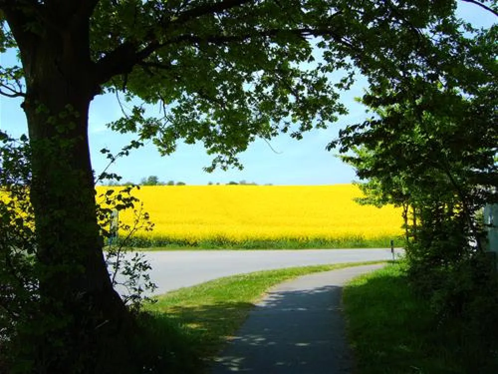 Camping & Ostseeferienpark Walkyrien