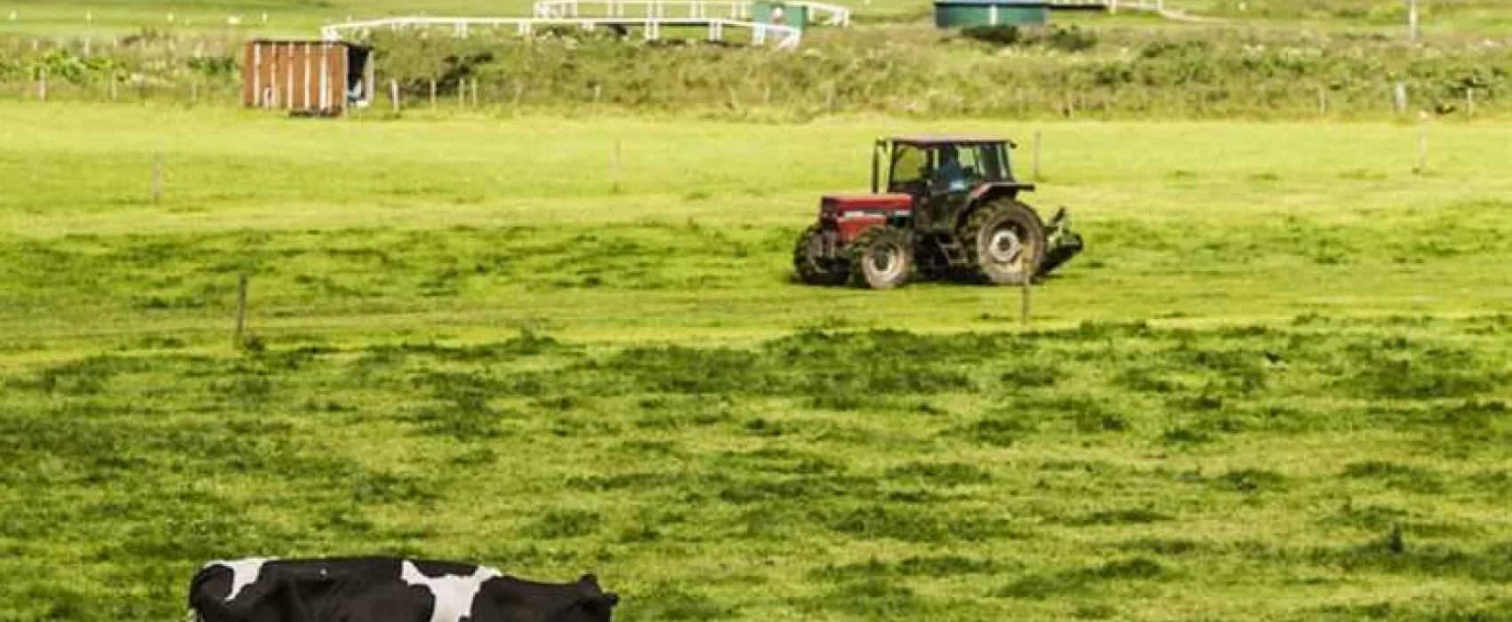 Machrihanish Holiday Park