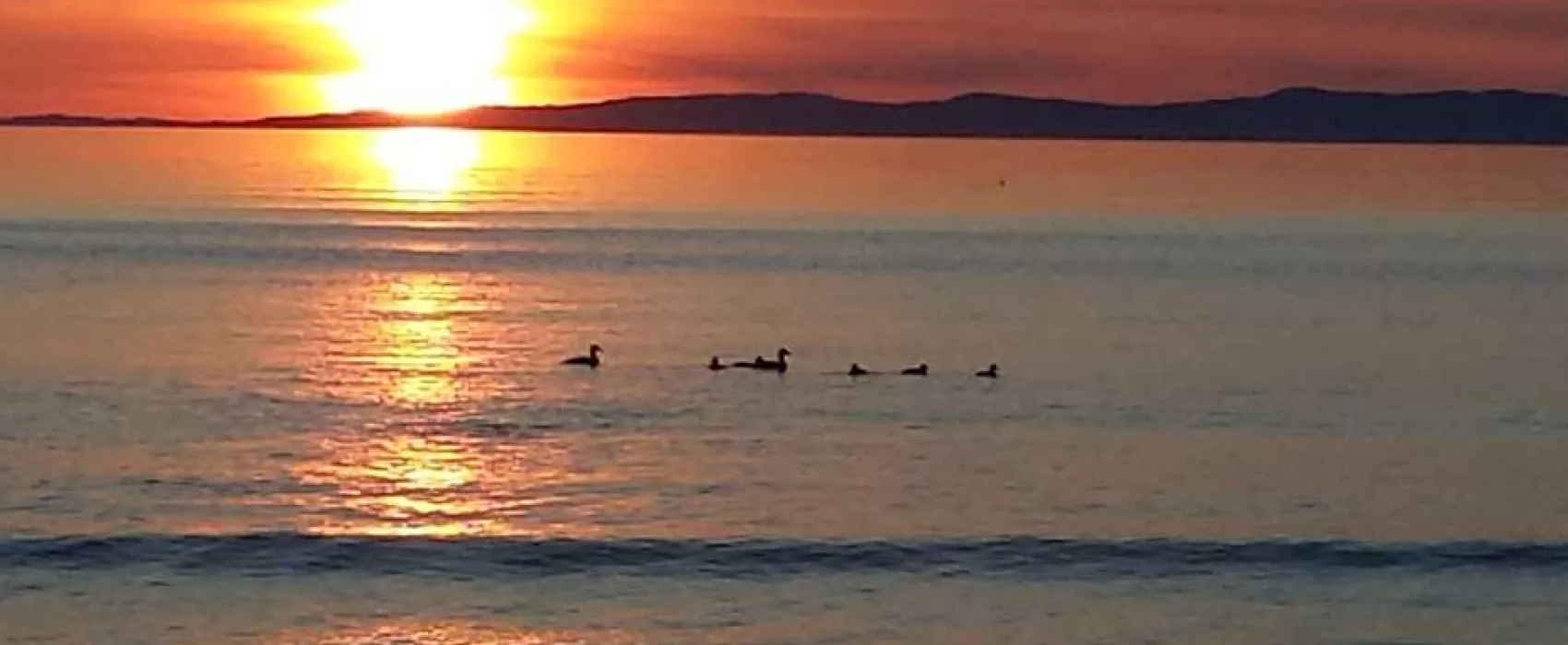 Machrihanish Holiday Park