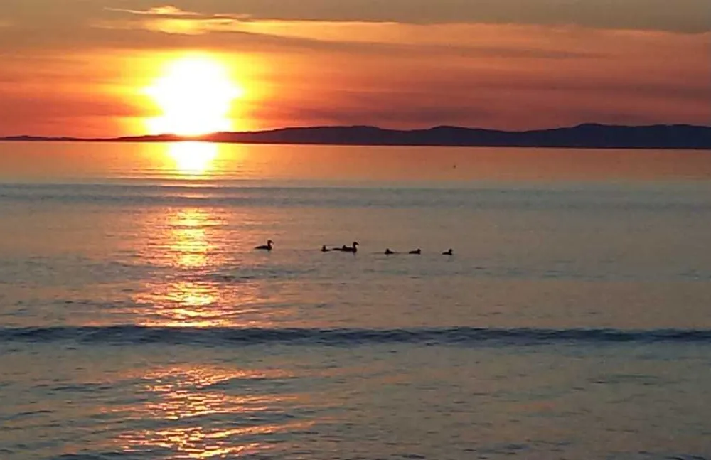 Machrihanish Holiday Park