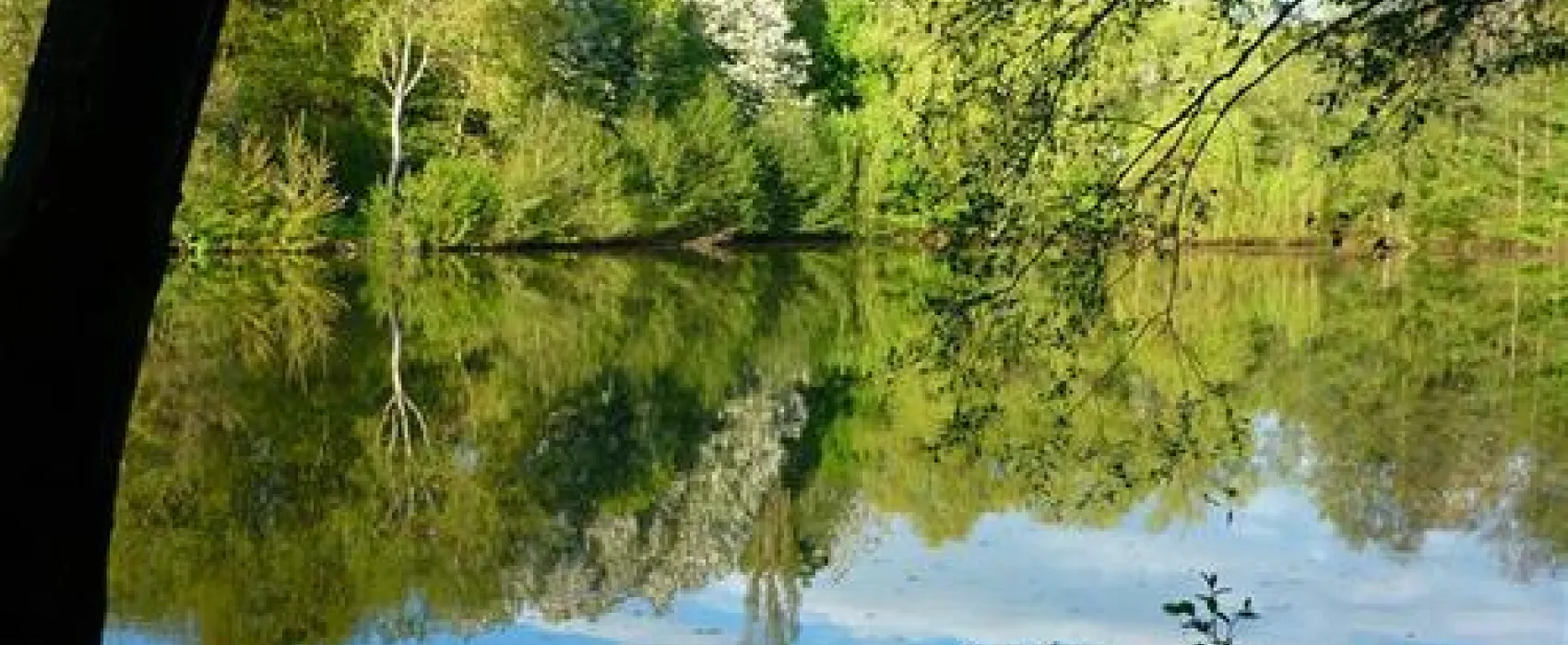 Country Camping Schinderhannes