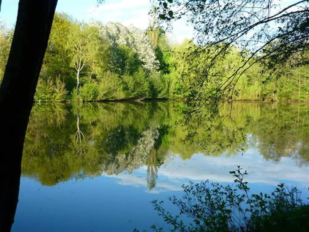 Country Camping Schinderhannes