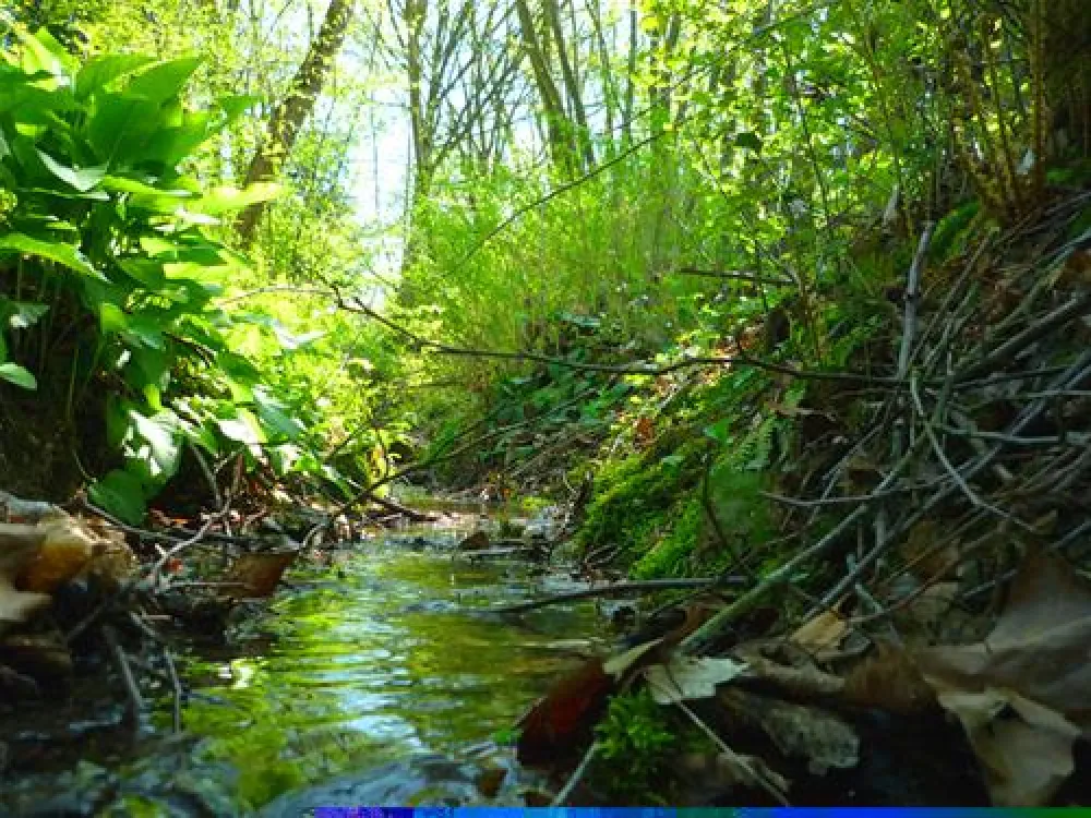 Country Camping Schinderhannes