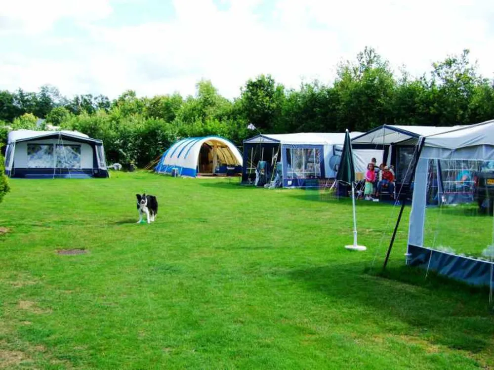 Camping Zonnekamp