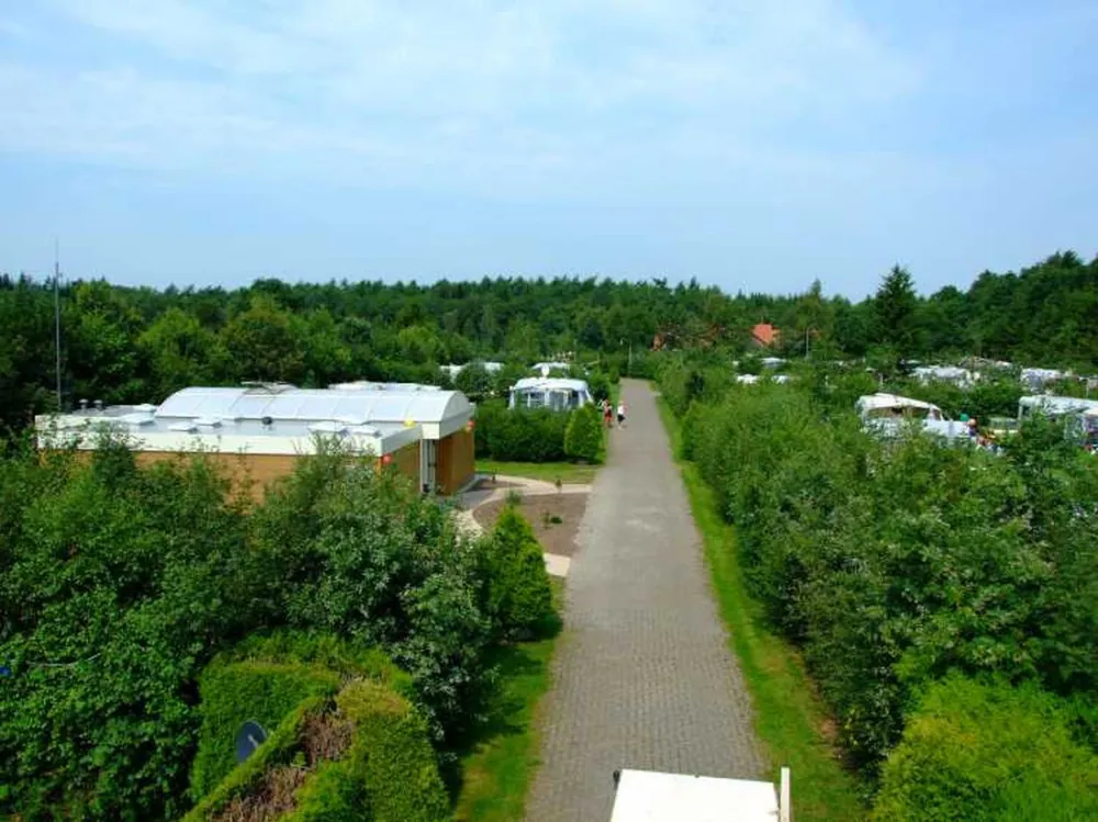 Camping Zonnekamp