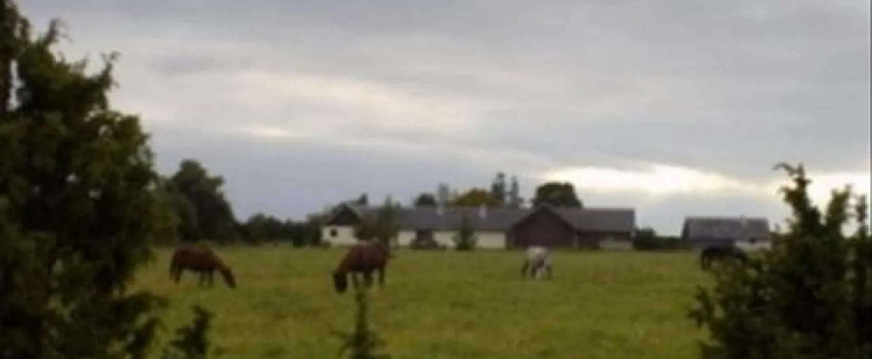 Algallika Guesthouse