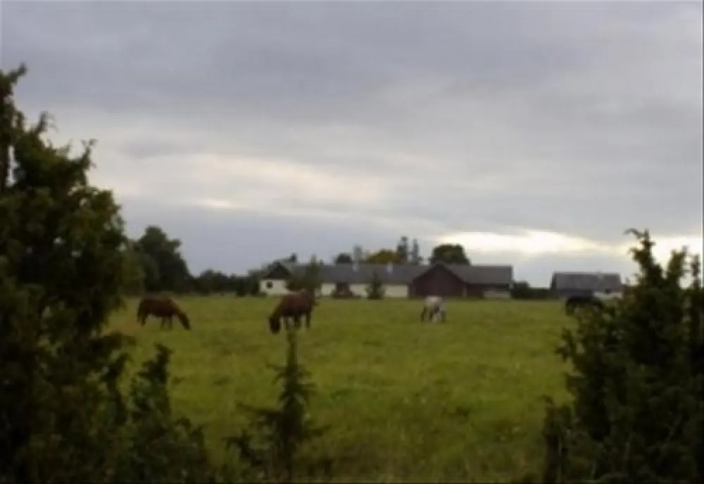 Algallika Guesthouse