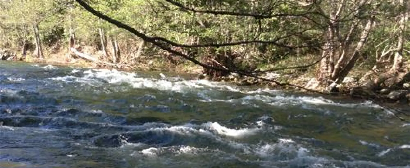 Camping aire naturelle Campita