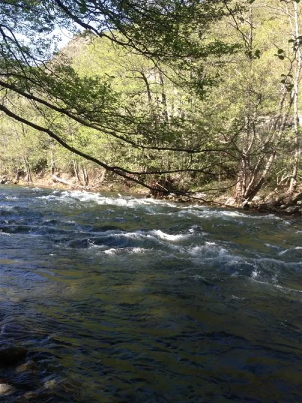 Camping aire naturelle Campita