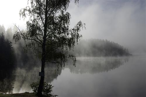 Seecamping Ottenstein am Stausee Ottenstein photo 5