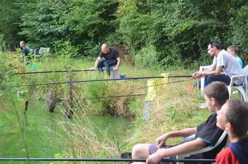 Camping La Venise Du Bocage