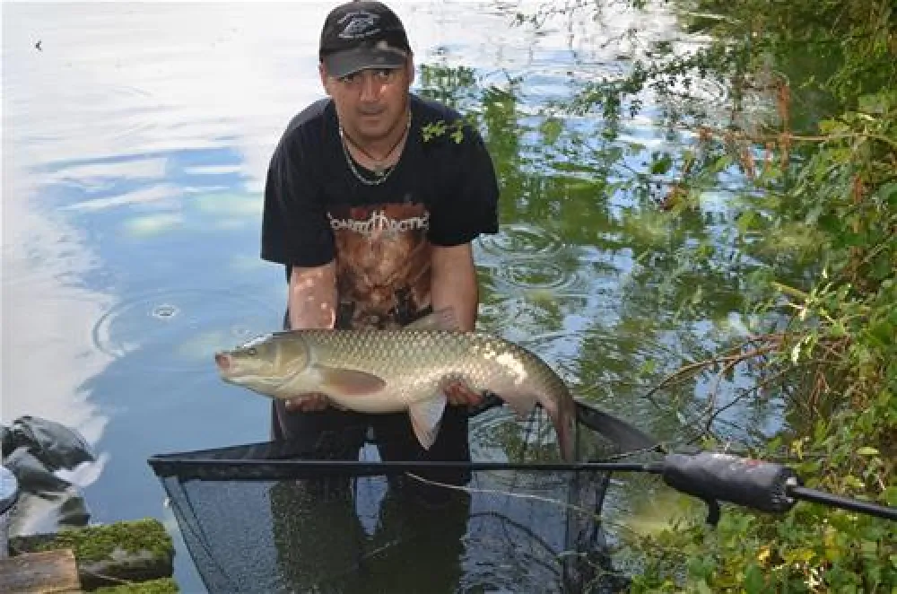 Camping La Venise Du Bocage
