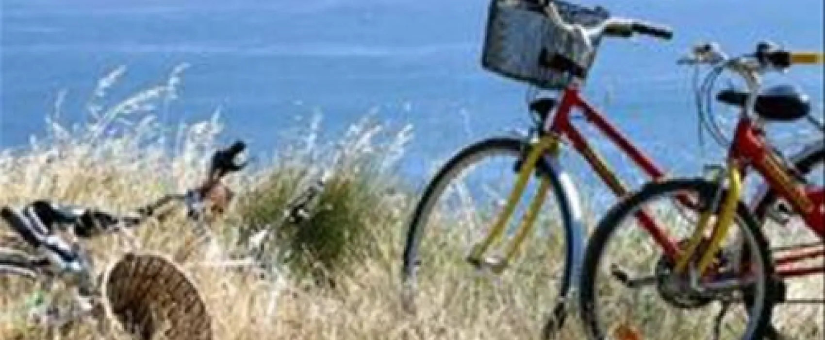 Flower Camping de Conleau