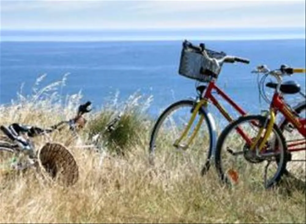 Flower Camping de Conleau