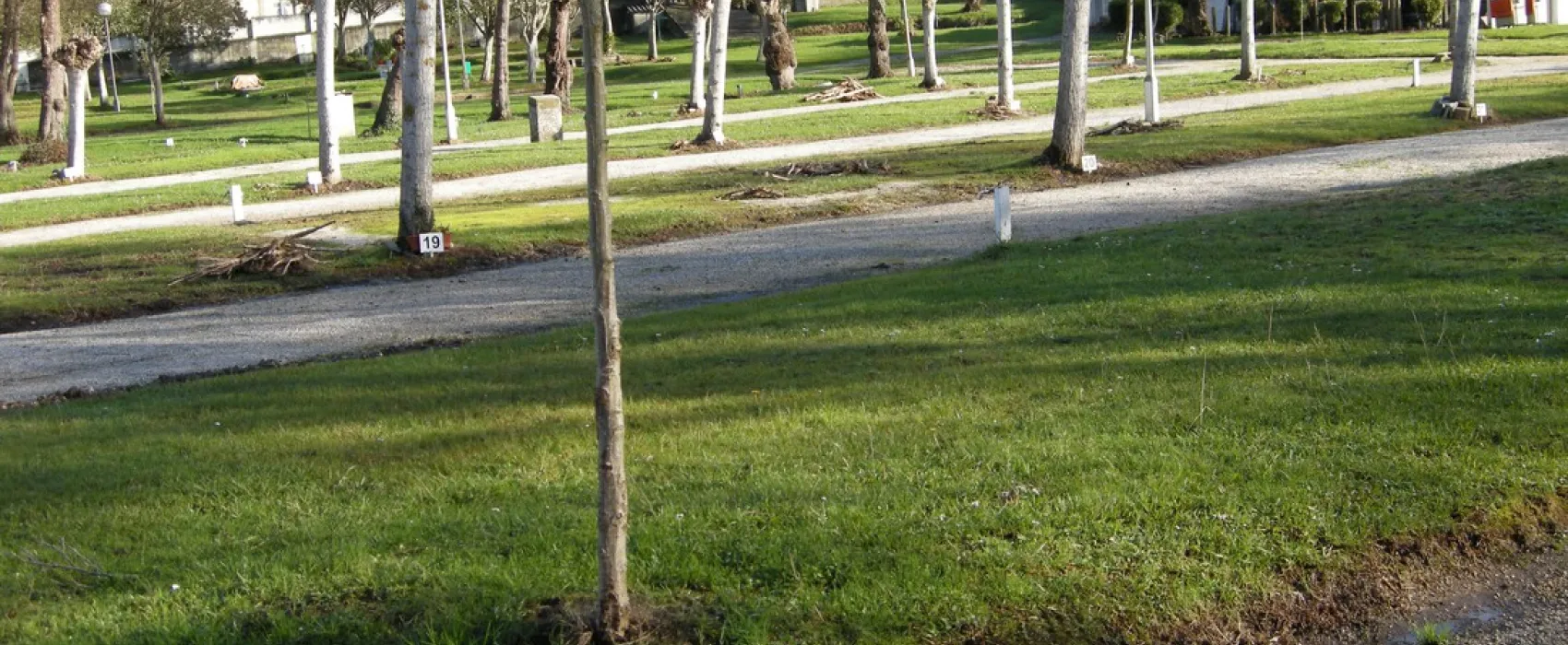 Camping Green Village